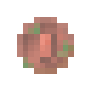 Rusted Copper Coin
